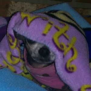 Meet your Posher, Joni